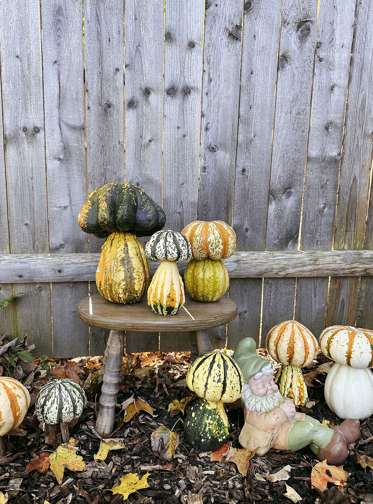a bunch of stacked mushroom pumpkins scattered in front of wooden fence with autumn leaves around them